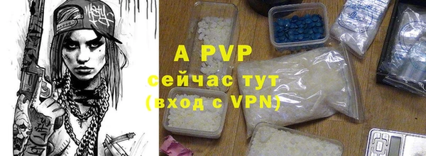 ПСИЛОЦИБИНОВЫЕ ГРИБЫ Михайловск