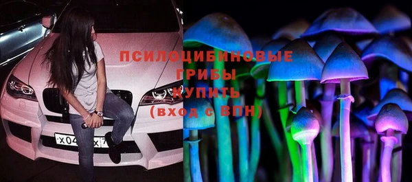 бошки Михайлов